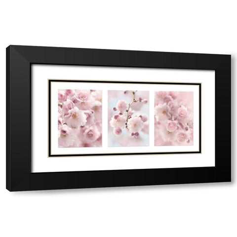 Weeping Cherry Trio Black Modern Wood Framed Art Print with Double Matting by Deiter, Lori