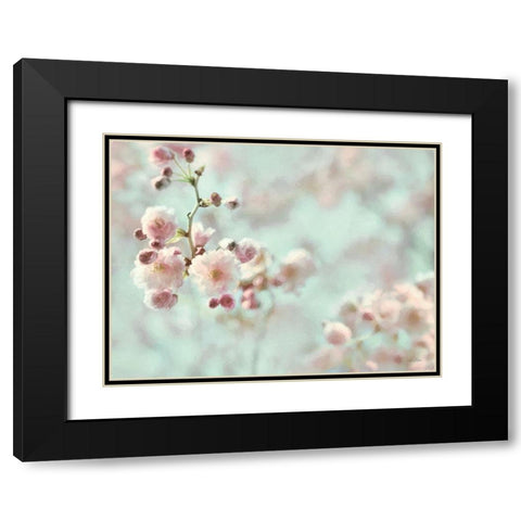 Pastel Weeping Cherry Blossom I Black Modern Wood Framed Art Print with Double Matting by Deiter, Lori