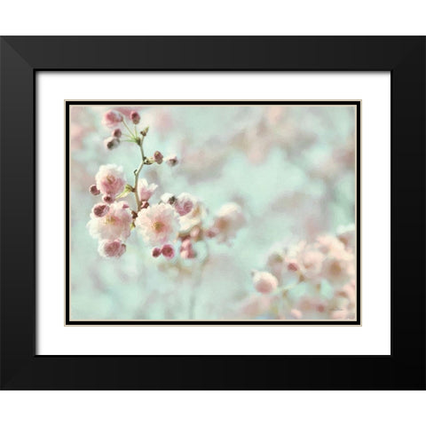 Pastel Weeping Cherry Blossom I Black Modern Wood Framed Art Print with Double Matting by Deiter, Lori