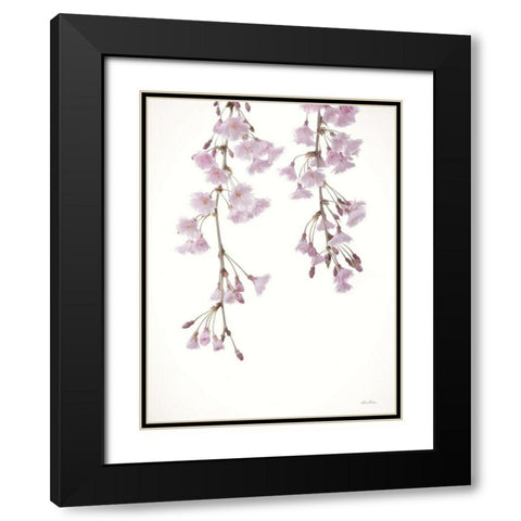 Weeping Cherry on White II Black Modern Wood Framed Art Print with Double Matting by Deiter, Lori