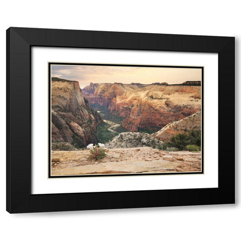 Zion Desert Life Black Modern Wood Framed Art Print with Double Matting by Deiter, Lori