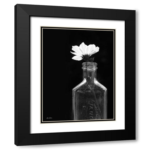 Illuminated Cosmos Black Modern Wood Framed Art Print with Double Matting by Deiter, Lori