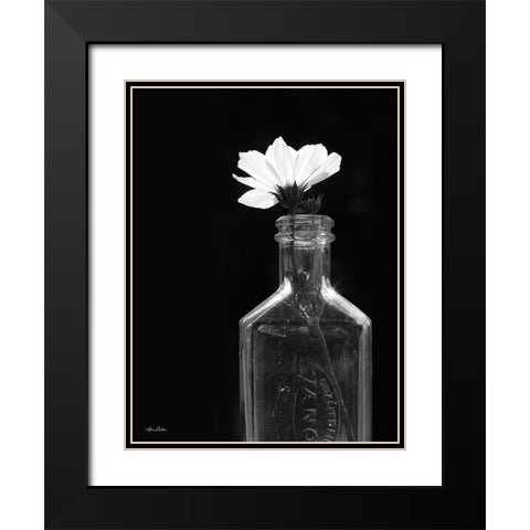 Illuminated Cosmos Black Modern Wood Framed Art Print with Double Matting by Deiter, Lori