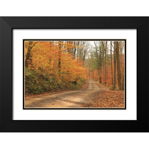 Fall Beauty I   Black Modern Wood Framed Art Print with Double Matting by Deiter, Lori