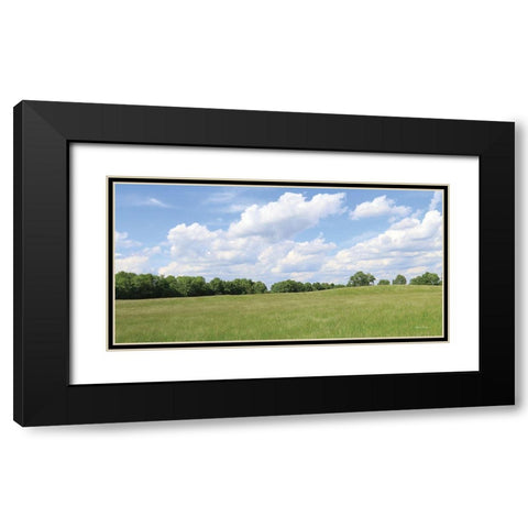 Summer Fields Black Modern Wood Framed Art Print with Double Matting by Deiter, Lori