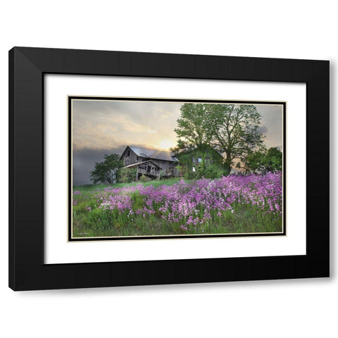 Country Living Black Modern Wood Framed Art Print with Double Matting by Deiter, Lori