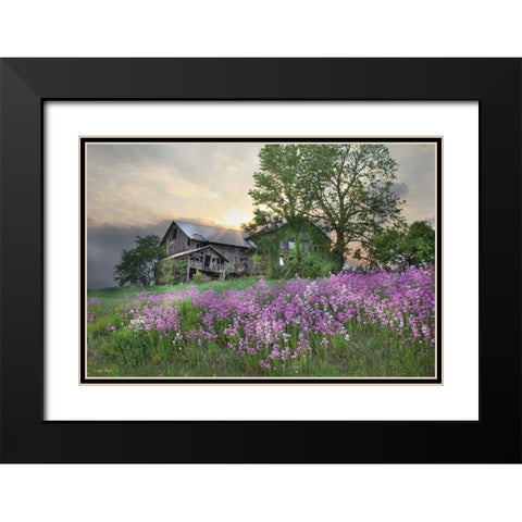 Country Living Black Modern Wood Framed Art Print with Double Matting by Deiter, Lori