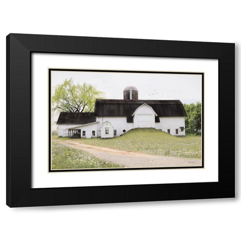 Big Country Barn Black Modern Wood Framed Art Print with Double Matting by Deiter, Lori