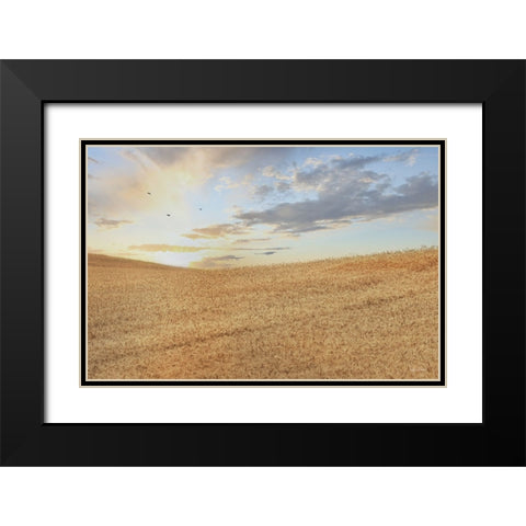 Amber Waves of Grain at Sunrise Black Modern Wood Framed Art Print with Double Matting by Deiter, Lori