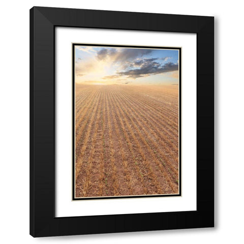 Its a New Day Black Modern Wood Framed Art Print with Double Matting by Deiter, Lori