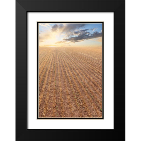 Its a New Day Black Modern Wood Framed Art Print with Double Matting by Deiter, Lori