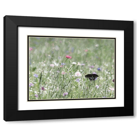 Butterfly Beauty Black Modern Wood Framed Art Print with Double Matting by Deiter, Lori