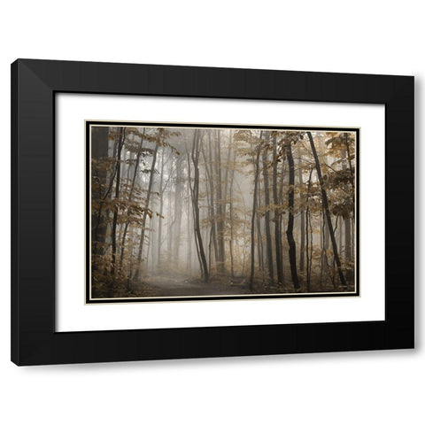 Foggy Forest in Fall Black Modern Wood Framed Art Print with Double Matting by Deiter, Lori