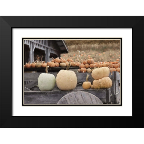 Autumn Pumpkin Harvest Black Modern Wood Framed Art Print with Double Matting by Deiter, Lori