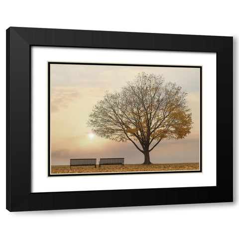 Golden Riverfront Sunrise Black Modern Wood Framed Art Print with Double Matting by Deiter, Lori