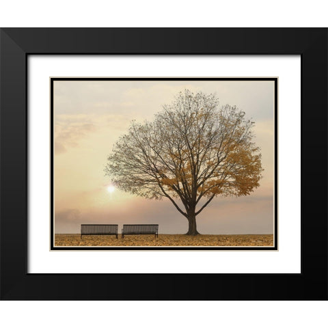 Golden Riverfront Sunrise Black Modern Wood Framed Art Print with Double Matting by Deiter, Lori