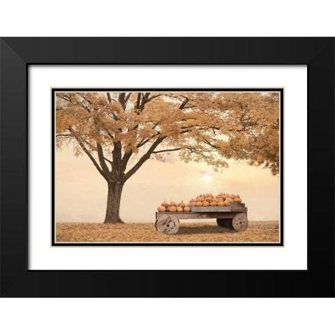Autumn Leaves and Pumpkins Please Black Modern Wood Framed Art Print with Double Matting by Deiter, Lori