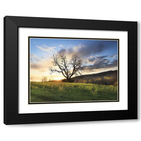 Clark Valley Sunset Black Modern Wood Framed Art Print with Double Matting by Deiter, Lori