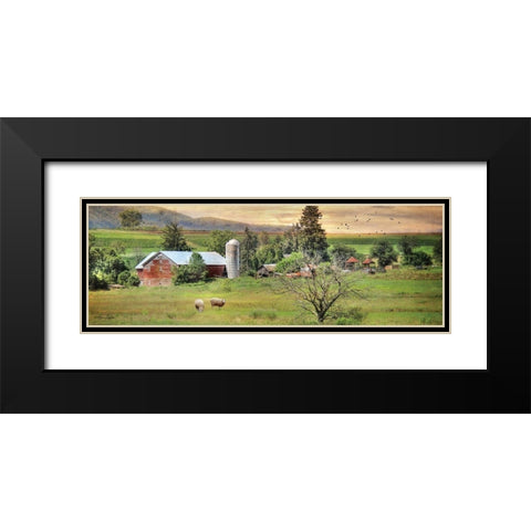 Grazing Sheet Black Modern Wood Framed Art Print with Double Matting by Deiter, Lori