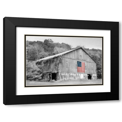 Patriotic Farm II Black Modern Wood Framed Art Print with Double Matting by Deiter, Lori