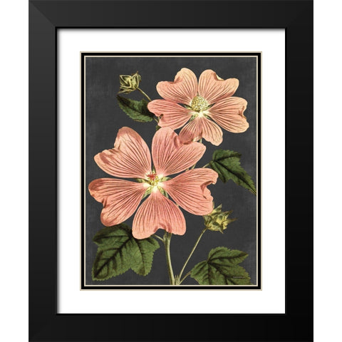 Pink Anemone Black Modern Wood Framed Art Print with Double Matting by Lettered And Lined
