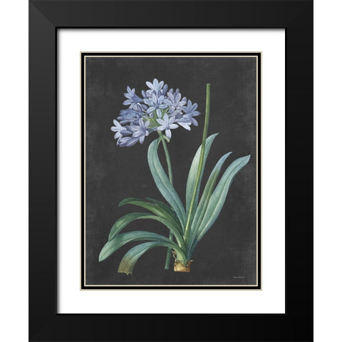 Bulb Study Black Modern Wood Framed Art Print with Double Matting by Lettered And Lined