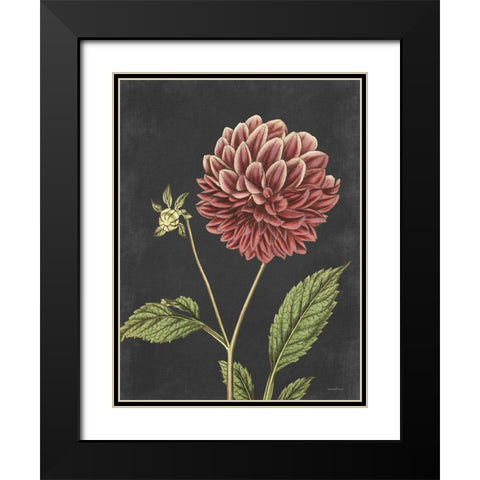 Dahlia Black Modern Wood Framed Art Print with Double Matting by Lettered And Lined