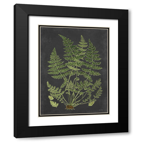Fern Study Black Modern Wood Framed Art Print with Double Matting by Lettered and Lined