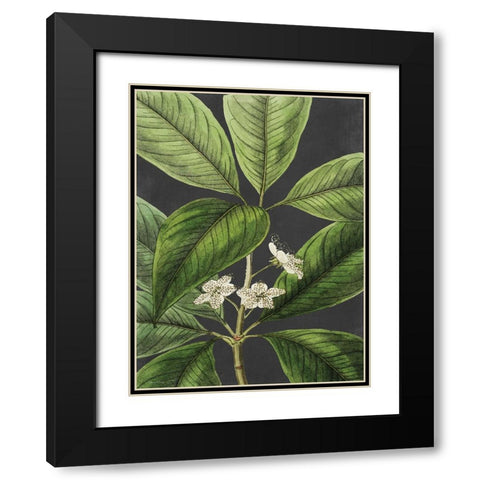 Grand Leaves Black Modern Wood Framed Art Print with Double Matting by Lettered and Lined