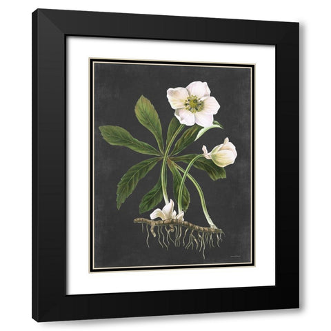 Hellebore Black Modern Wood Framed Art Print with Double Matting by Lettered and Lined
