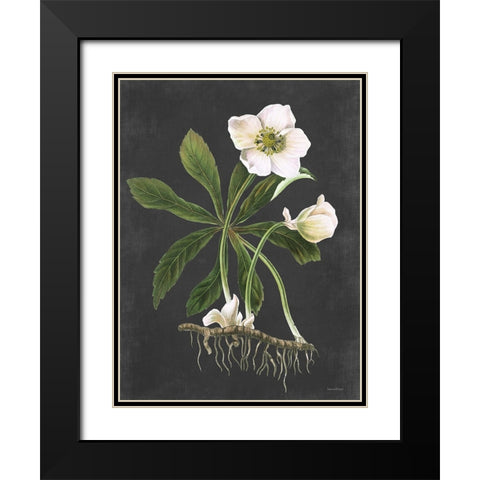 Hellebore Black Modern Wood Framed Art Print with Double Matting by Lettered and Lined