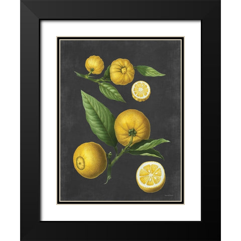Lemon Citrus Black Modern Wood Framed Art Print with Double Matting by Lettered and Lined