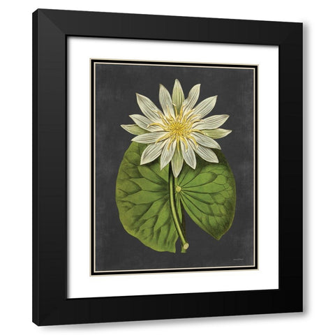 Lily Black Modern Wood Framed Art Print with Double Matting by Lettered and Lined