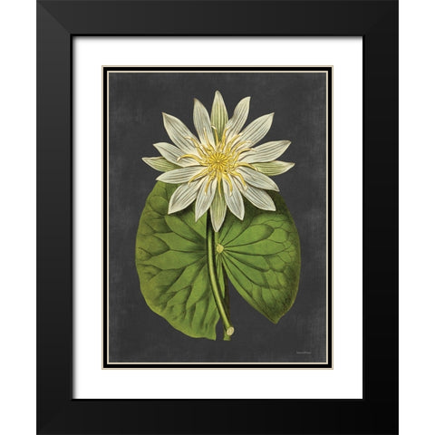 Lily Black Modern Wood Framed Art Print with Double Matting by Lettered and Lined