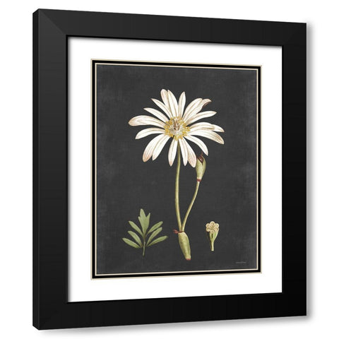 Naturalist Bloom Study Black Modern Wood Framed Art Print with Double Matting by Lettered And Lined
