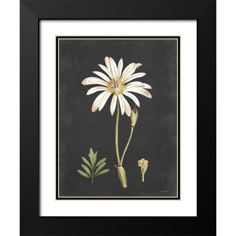 Naturalist Bloom Study Black Modern Wood Framed Art Print with Double Matting by Lettered And Lined