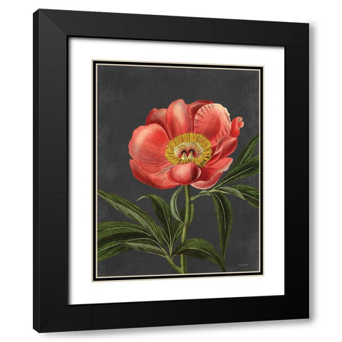 Peony Black Modern Wood Framed Art Print with Double Matting by Lettered and Lined