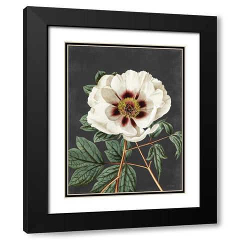 Vintage Rose Black Modern Wood Framed Art Print with Double Matting by Lettered and Lined