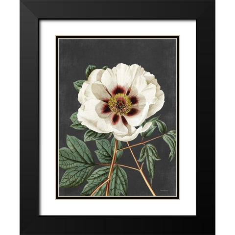 Vintage Rose Black Modern Wood Framed Art Print with Double Matting by Lettered and Lined