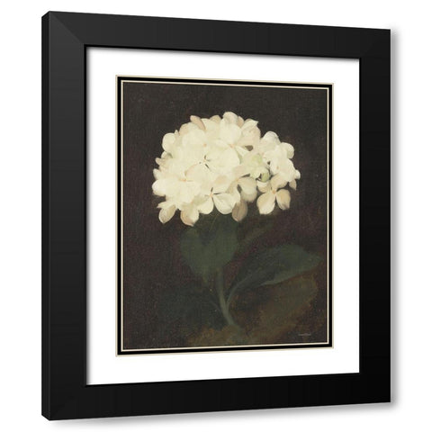 Vintage White Hydrangea Black Modern Wood Framed Art Print with Double Matting by Lettered And Lined