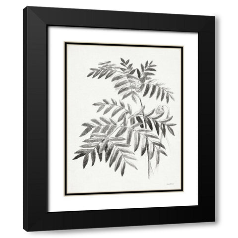 Leaf Illustration I Black Modern Wood Framed Art Print with Double Matting by Lettered And Lined