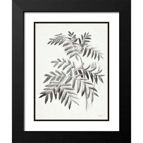 Leaf Illustration I Black Modern Wood Framed Art Print with Double Matting by Lettered And Lined