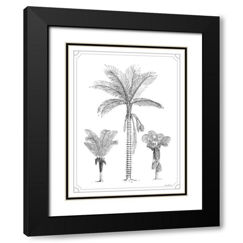 Palm Trio Black Modern Wood Framed Art Print with Double Matting by Lettered And Lined