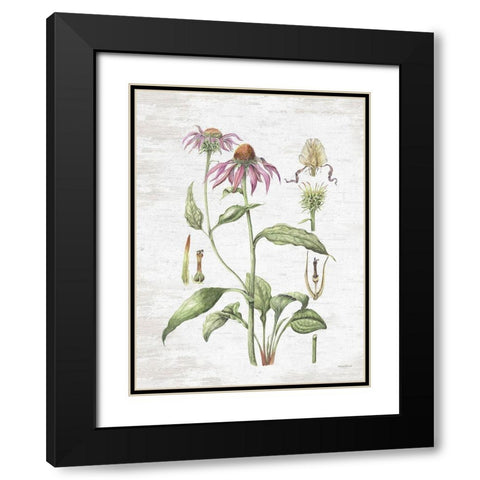 Quiet Meadow Botanical Black Modern Wood Framed Art Print with Double Matting by Lettered and Lined