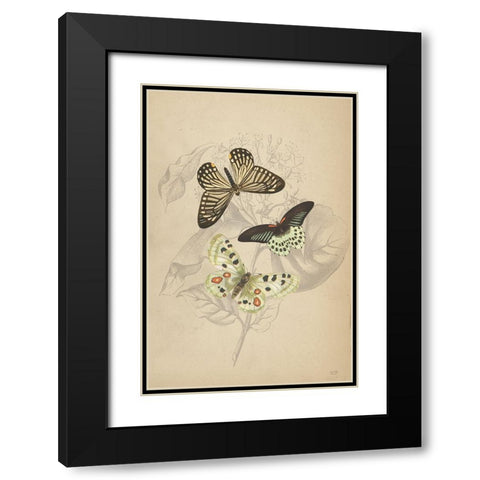 Butterfly Trio Black Modern Wood Framed Art Print with Double Matting by Lux + Me Designs