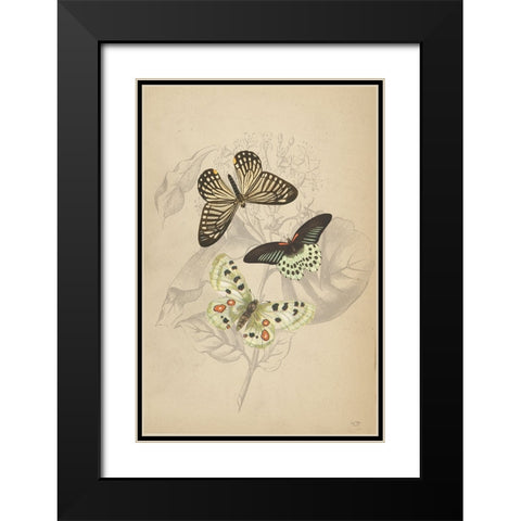 Butterfly Trio Black Modern Wood Framed Art Print with Double Matting by Lux + Me Designs
