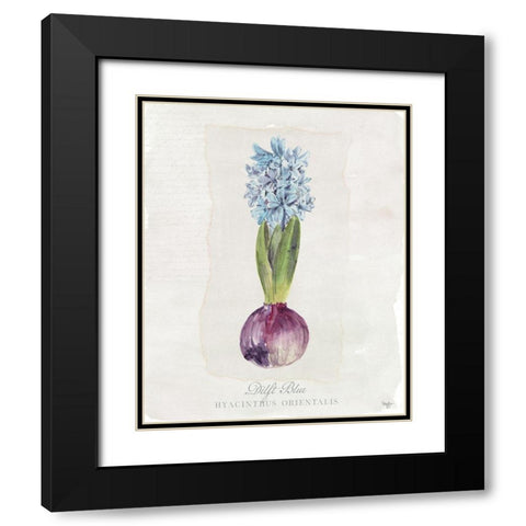 Hyacinthus Orientalis I Black Modern Wood Framed Art Print with Double Matting by Mollie B.