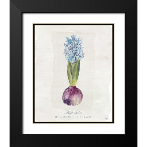 Hyacinthus Orientalis I Black Modern Wood Framed Art Print with Double Matting by Mollie B.