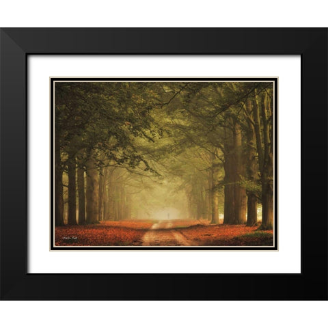 Misty Walk Black Modern Wood Framed Art Print with Double Matting by Podt, Martin