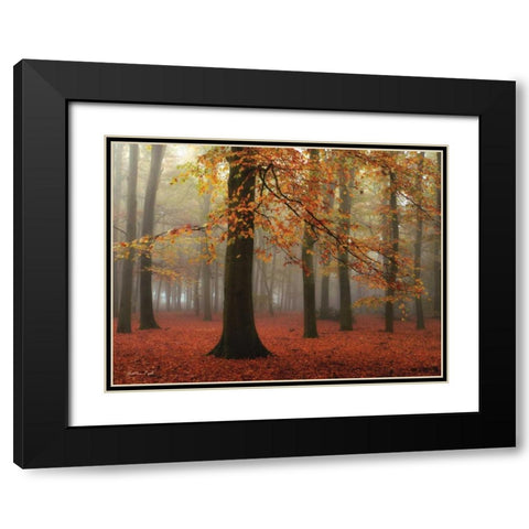 Miss Misty Black Modern Wood Framed Art Print with Double Matting by Podt, Martin